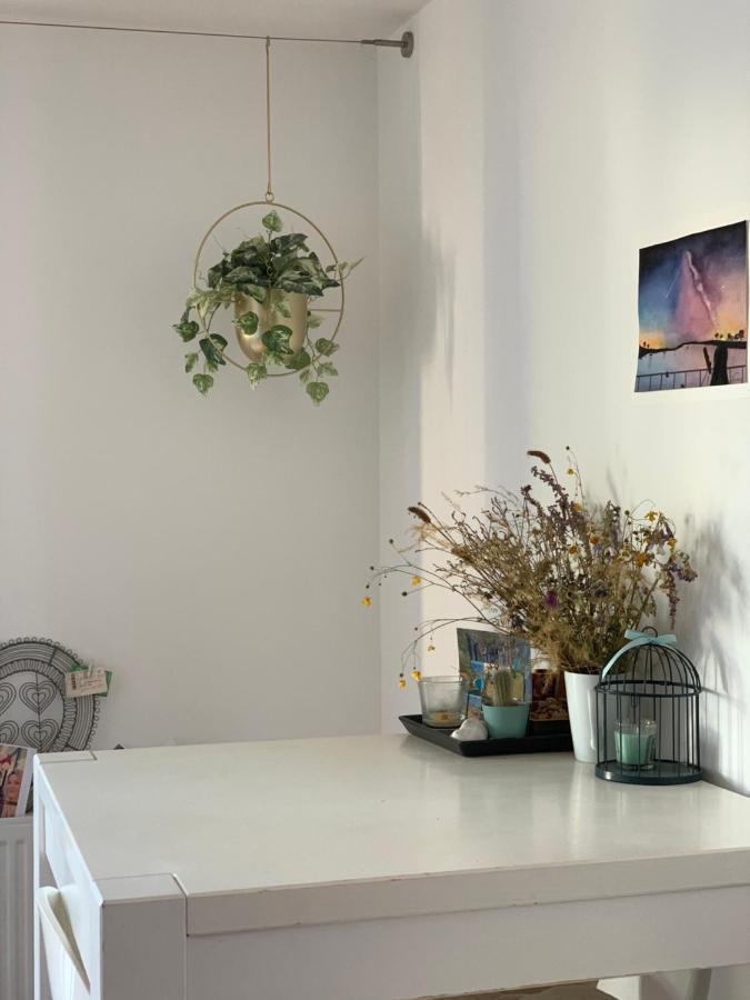 Super Logement Cosy, A Deux Pas Du Tram ナント エクステリア 写真